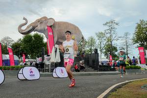 BIB: 
                            <button type="button" onclick="openModal(26528778)" class="btn btn-primary btn-sm float-right btn-popup" data-toggle="modal" data-target=".modal-high-quality">
                        <i class="fas fa-shopping-cart"></i> Add to Cart
                    </button>
                                            <button type="button" onclick="isThisMe(26528778, true)" class="btn btn-success btn-sm float-right btn-popup btn-isme hidden" data-toggle="tooltip" data-placement="bottom" title="นี่คือรูปของคุณใช่ไหม คลิกที่นี่เพื่อเอาเข้าอัลบั้ม">
                        <i class="fas fa-plus"></i> Add to album
                    </button>
                    <button type="button" onclick="isThisMe(26528778, false)" class="btn btn-warning btn-sm float-right btn-popup btn-isnotme hidden">
                        <i class="fas fa-ban"></i> Remove from album
                    </button>